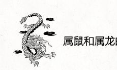 属鼠和属龙的婚姻相配吗