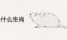 鼠的六合是什么生肖