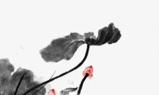 2023年除夕是二十九吗 2023年除夕之夜是几月几号