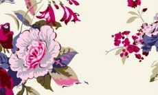 2023大年初三小年朝什么意思 不扫地不乞火不汲水与岁朝同