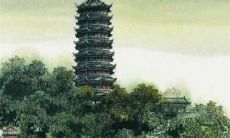 2023年夜饭菜谱大全家常菜 年夜饭必备的十二道菜谱