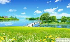 哪种花一进门就能看到好的纳财进福呢。