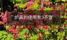 炉具的使用有3不宜