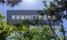 家居催财旺丁转运大法