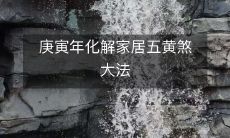 庚寅年化解家居五黄煞大法