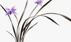 2021年生肖龙12月有几天适合动土的吉日 好日子查询