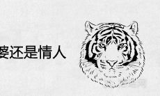 属虎男爱老婆还是情人 会离婚出轨吗