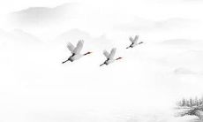 2022壬寅年4月宜动土的好日子查询 动工吉利日子