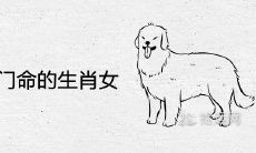 天生有豪门命的生肖女 大富大贵的凤凰命属相