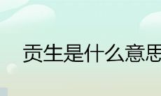 贡生是什么意思