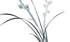 2021年生肖羊12月动土黄道吉日有几天 这几天日子不错