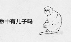 92年猴命中有儿子吗 一生添丁命运如何