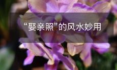 “娶亲照”的风水妙用