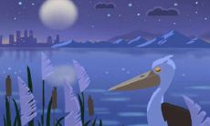 处女座的女人适合做什么生意