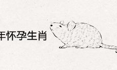 2021年下半年容易怀孕的生肖