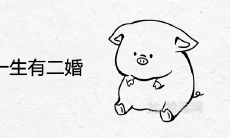 83年猪一生有二婚是真的吗 婚姻命运分析