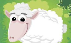 1979年属羊人2022年夫妻婚姻感情运势如何