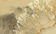 2022年生肖属猪在7月最佳开工黄道吉日 好日子挑选