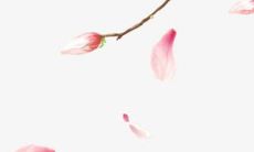 2021年属鸡人12月哪几天是建房动土吉日 吉日查询有门道