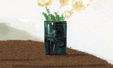 节日大全：世界糖尿病日的由来