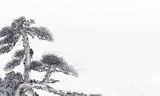 2022年2月生肖属龙建房动土吉利日子 动土最佳日期