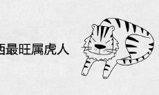 什么东西最旺属虎人