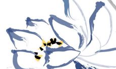 2022年公历1月生肖属蛇动土的最佳黄道吉日 动土上等佳期