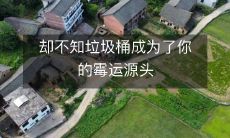 却不知垃圾桶成为了你的霉运源头