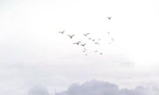 2022虎年生肖属牛公历2月建房动土的好日子 宜动土黄道吉日