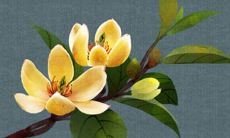 2022虎年公历1月生肖属鸡最吉利的动土吉日 建房动土良机