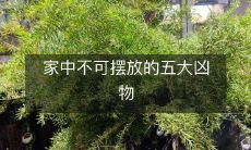 家中不可摆放的五大凶物
