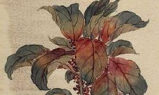 2022年生肖属猪在1月最佳动土吉日一览表 本月宜忌分析