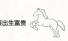属马什么时辰出生富贵