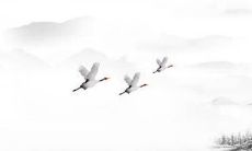 2022年生肖属虎2月份建房动土的最吉利日期 动土日期查询