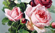 2022虎年生肖属兔在1月适合动土的吉利日子 黄道日子查询