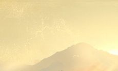 你会急于脱单而顺从父母的相亲吗？