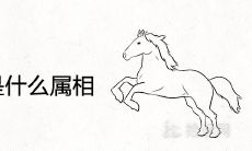 属马的小人是什么属相 克星生肖是谁