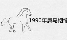 1990年属马的姻缘什么时候到