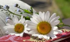 2022年简约昵称二字 好听有意义网名