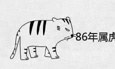 86年属虎女做什么生意好 适合什么行业