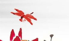 2022年7月29日适合动土吗 建房开工合不合适