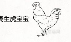 93年属鸡的夫妻生虎宝宝好不好 哪年要孩子最好