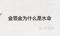 金箔金为什么是水命 2022年出生的人到底是什么命