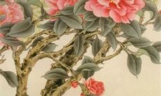 2022虎年新历7月动土最佳吉日 开工动土吉利日