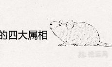 2021年最吉利的四大属相是什么 下半年财运好的生肖