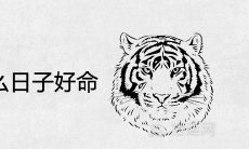 2022年属虎出生在什么日子一世好命大富大贵