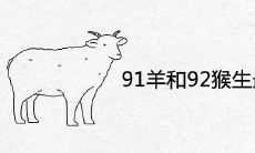 91羊和92猴生最优宝宝是什么生肖 2022年生属虎人好吗