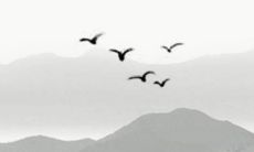 2022年7月19日动土好吗 是黄道吉日吗