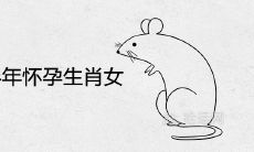 2021年下半年怀孕生肖女 喜得贵子的属相