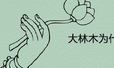 大林木为什么又是土命